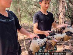 -坛南湾阿强农家乐.海鲜大排档老字号(福州地标美食店)