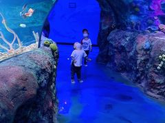 -沈阳海洋探索中心