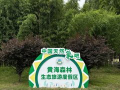 -黄海国家森林公园