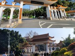-深圳仙湖植物园