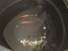 -厚山庭院重庆老火锅