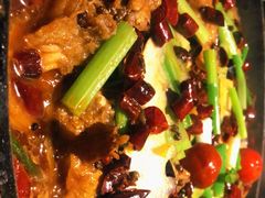 -老板恋上鱼(印象城店)