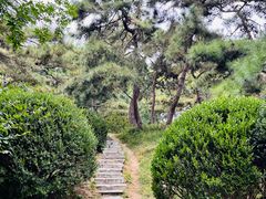 -元大都城垣遗址公园