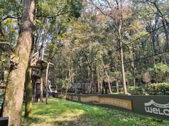 -WeLope紫金山探险公园