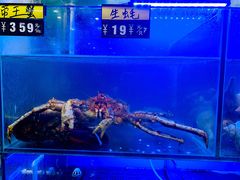 -金龙·打边炉(武进路店)