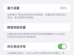 -Apple零售店(深圳益田假日广场店)