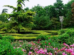 -黄村公园