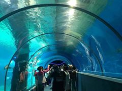 -北戴河圣蓝海洋公园