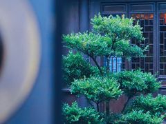 -东台西溪天仙缘景区