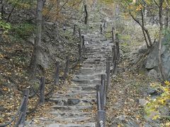 -阳台山自然风景区