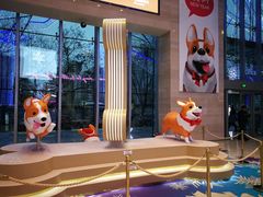 -味千拉面(双井店)