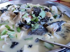 -史记安仁鱼头(浙闽赣食用菌交易中心店)