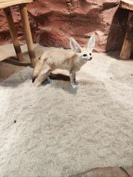 点击看大图 -Zoolung Zoolung动物主题公园(海信广场店)