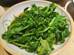 白灼豌豆尖-姑姑宴(富力广场店)