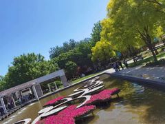 -石家庄市植物园
