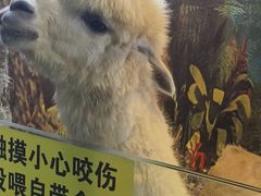 -苏州海洋馆