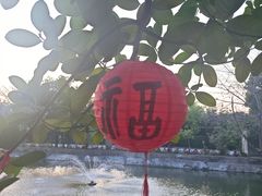 -新合益乡村农庄