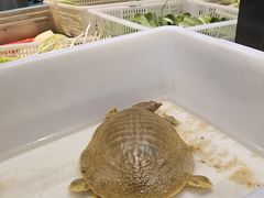 -517烧烤·龙虾·海鲜大排档(万象都荟店)