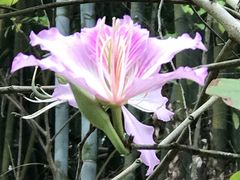 -田心森林公园