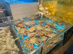 -九月海·海鲜自助(世纪东方店)