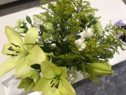 -HEYAN荷妍专业脱毛连锁机构
