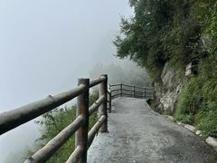 -少华山国家森林公园