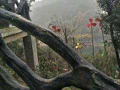 -石燕湖生态旅游景区