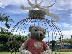 -三亚亚龙湾天域度假酒店