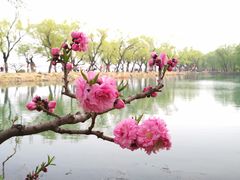 -颐和园