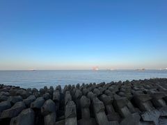 -上海滨江森林公园