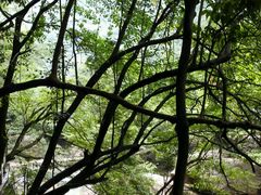 android_upload_pic-白云源风景区