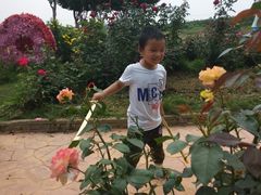 -武汉紫薇都市田园