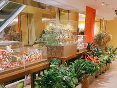 -西贝(六里桥旗舰店)