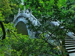 -深圳仙湖植物园