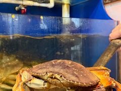 -广记海鲜(杨汊湖一店)