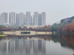 -重庆彩云湖湿地公园