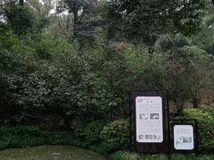 -杭州植物园