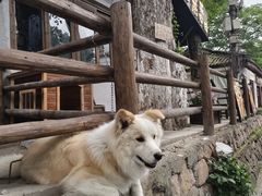 -莫干山风景区