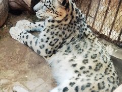 -青藏高原野生动物园