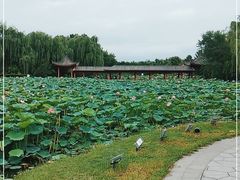 -云居湖