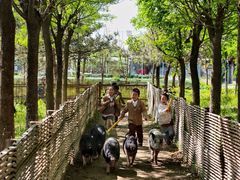 -丹迪兰幼稚园