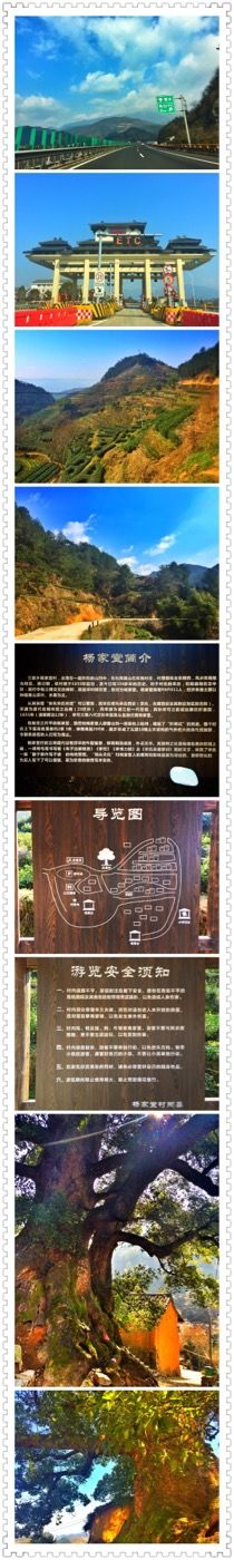 -杨家堂村