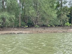 -东寨港红树林旅游区