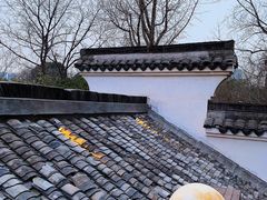-日出青木