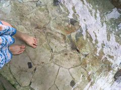 温泉♨️-南紀白浜 浜千鳥の湯 海舟