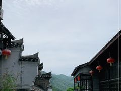 -后柳水乡