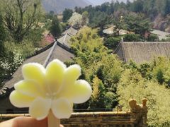 -潭柘寺景区