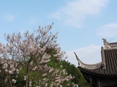 -重庆园博园