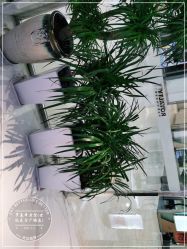 -罗亚帝造型·烫发染发