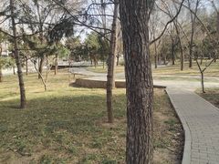 -南长河公园